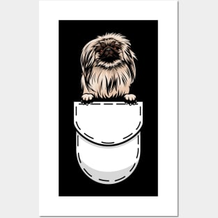 Pekingese Pocket Dog Posters and Art